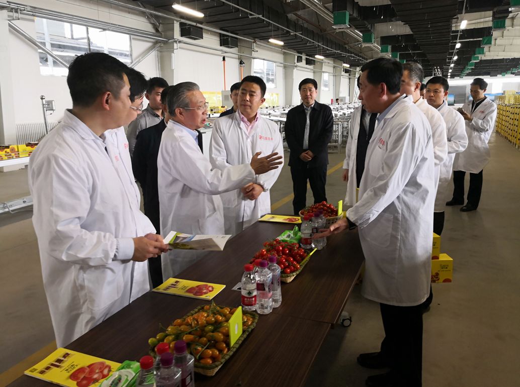 8040威尼斯(中国)有限公司官网