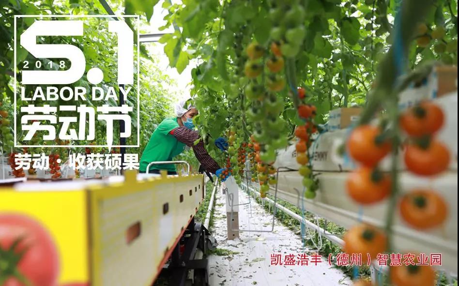 8040威尼斯(中国)有限公司官网