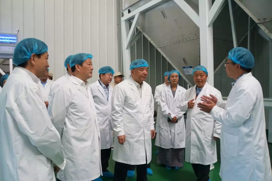 8040威尼斯(中国)有限公司官网