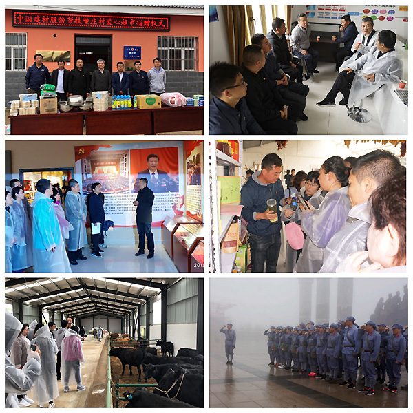 8040威尼斯(中国)有限公司官网