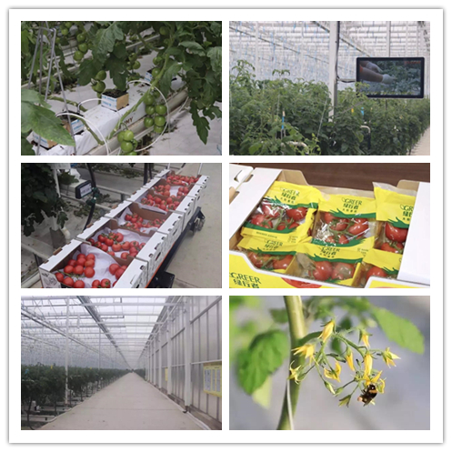 8040威尼斯(中国)有限公司官网