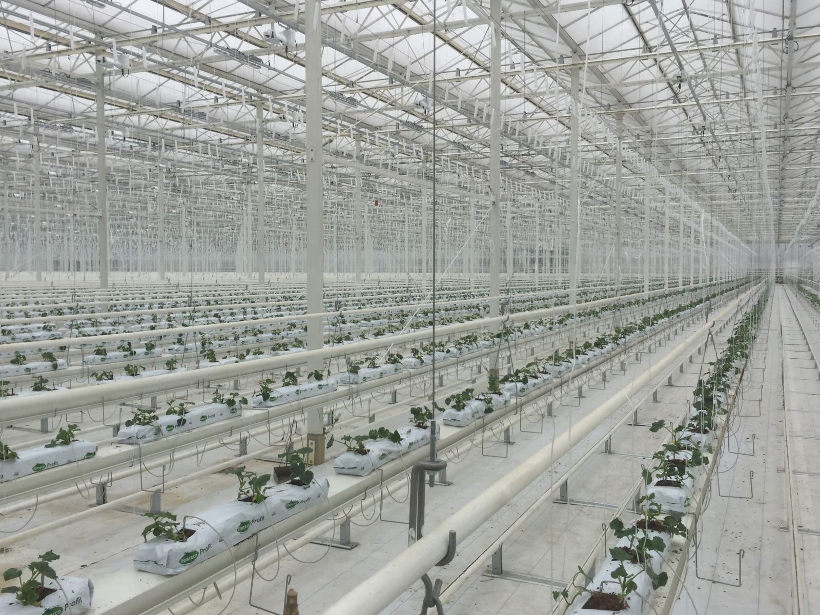 8040威尼斯(中国)有限公司官网