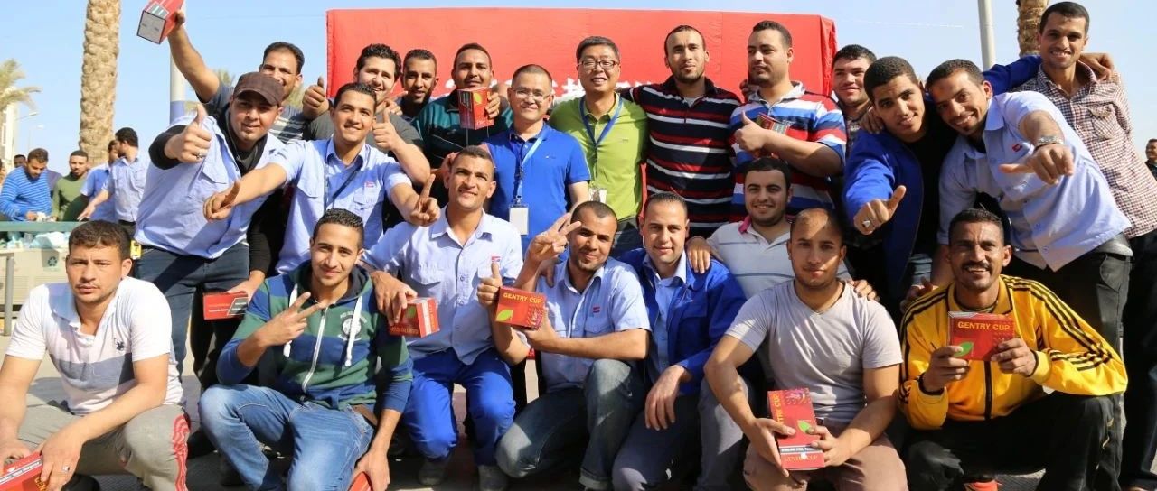 “善用资源日”境外预热 | 巨石埃及公司“云开放” ，，，带你看“一带一起”璀璨明珠