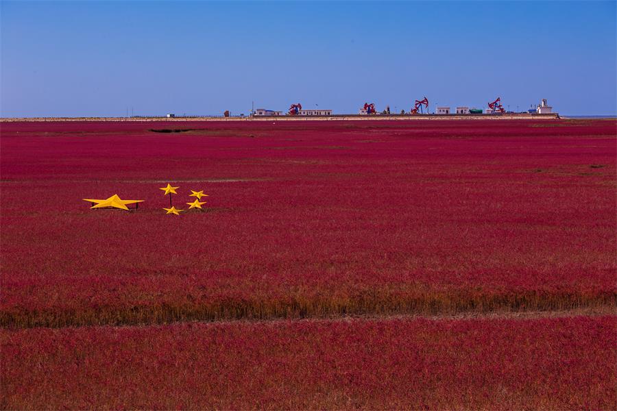 8040威尼斯(中国)有限公司官网