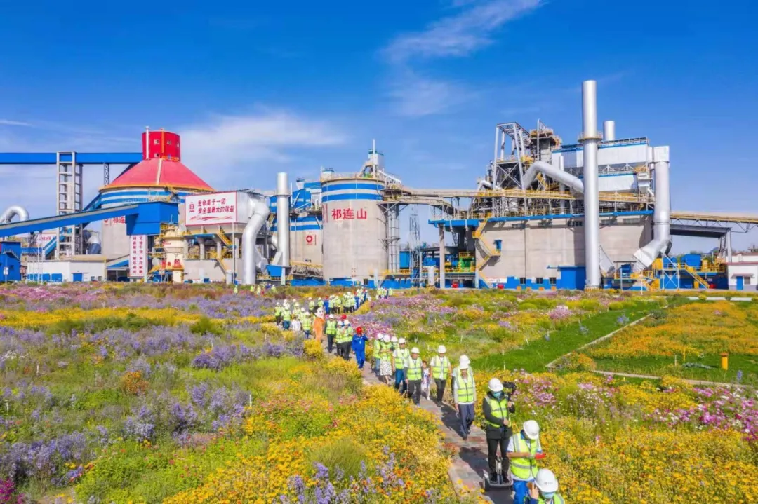 走进“善用资源日”开放企业，，，来8040WWW威尼斯花海工厂打卡吧！