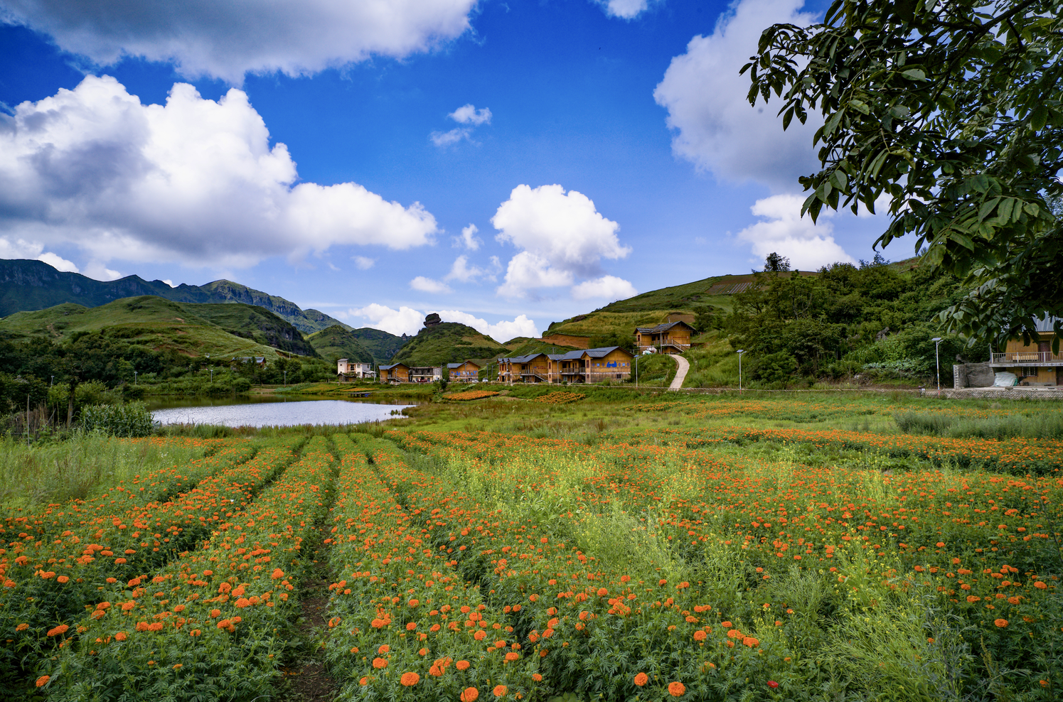 8040威尼斯(中国)有限公司官网