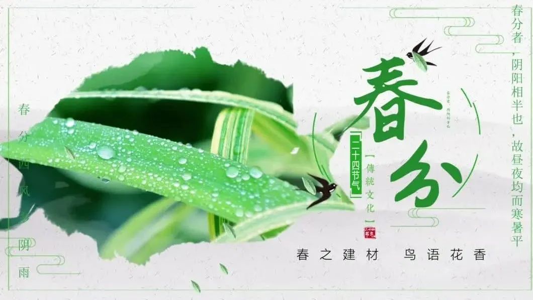 今日春分 | 春之建材，，，莺啼燕语