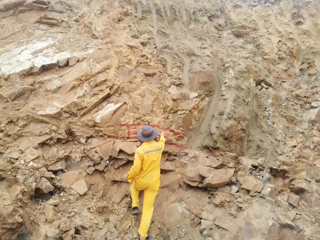 8040威尼斯(中国)有限公司官网